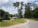 A road going to the RV sites at TALLAHASSEE RV PARK - thumbnail