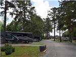 A road going between RV sites at TALLAHASSEE RV PARK - thumbnail