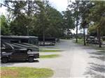 A tree lined road with RV sites at TALLAHASSEE RV PARK - thumbnail