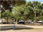 Some of the empty dirt RV sites at SCHULENBURG RV PARK - thumbnail