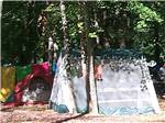 Tents camping at BLACK BEAR CAMPGROUND - thumbnail