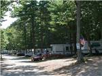 Trailers parked onsite at BLACK BEAR CAMPGROUND - thumbnail