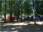 Tents set up at campsites at BLACK BEAR CAMPGROUND - thumbnail