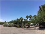 An overview of the campsites at HORSPITALITY RV RESORT - thumbnail