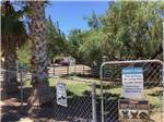 The fenced in dog run at HORSPITALITY RV RESORT - thumbnail