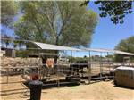 The horse corrals with two horses at HORSPITALITY RV RESORT - thumbnail