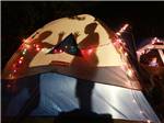 Tents camping at LEBANON HILLS CAMPGROUND - thumbnail