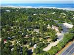 Lovely aerial view of green trees and ocean at HECETA BEACH RV PARK - thumbnail
