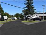 The paved roads around the campsites at ISSAQUAH VILLAGE RV PARK - thumbnail