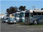 RVs and trailers at campground at PORTLAND WOODBURN RV PARK - thumbnail