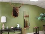 A green wall decorated with moose trophy and pool cues at ELK CREEK RV PARK - thumbnail