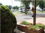 A view of RVs in sites with raised flower bed in foreground at ELK CREEK RV PARK - thumbnail