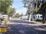 One of the paved roads at ARENA RV PARK - thumbnail