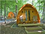 Camping cabins in the woods at CHERRY HILL PARK - thumbnail