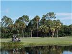 A golf cart on the golf course at THE GREAT OUTDOORS RV NATURE & GOLF RESORT - thumbnail