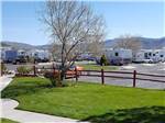 A grassy area with a tree at SILVER CITY RV RESORT - thumbnail