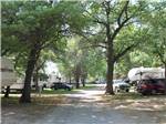 Tree-lined dirt road with campsites on each side at ST CLOUD CAMPGROUND & RV PARK - thumbnail