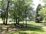 RVs parked in leafy campground with grass and tall trees at ST CLOUD CAMPGROUND & RV PARK - thumbnail