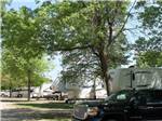 Travel trailers in sites with thick trees at ST CLOUD CAMPGROUND & RV PARK - thumbnail