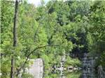 A pond surrounded with trees at DORSET RV PARK - thumbnail