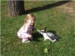 A little girl petting a bunny at DORSET RV PARK - thumbnail