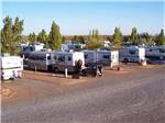 Motorhomes parked in a row in gravel sites at METEOR CRATER RV PARK - thumbnail
