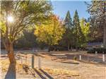 A group of gravel RV sites at TRAILER LANE CAMPGROUND - thumbnail