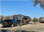 Motorhome parked at campsite at ALMOND TREE OASIS RV PARK - thumbnail
