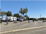 Open RV spots for camping at ALMOND TREE OASIS RV PARK - thumbnail