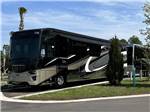 Motorhome with palm tree in background at ST AUGUSTINE RV RESORT - thumbnail