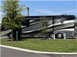 Full-body painted motorhome with tree at ST AUGUSTINE RV RESORT - thumbnail