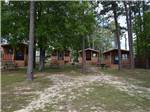The rental cabins surrounded by trees at SUNSET KING LAKE RV RESORT - thumbnail