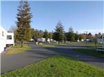 Road leading into campground at RIVERWALK RV PARK & CAMPGROUND - thumbnail