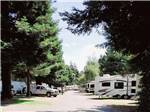 One of the roads that go thru the campsites at RIVERWALK RV PARK & CAMPGROUND - thumbnail