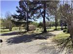 A couple of the gravel RV sites at NATCHEZ TRACE RV PARK - thumbnail