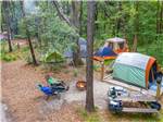 Aerial shot of tent campers in forest at THE CAMPGROUND AT JAMES ISLAND COUNTY PARK - thumbnail