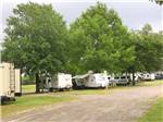 RV sites under the trees at FERN LAKE CAMPGROUND & RV PARK - thumbnail