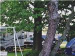 A group of trees next to the RV sites at FERN LAKE CAMPGROUND & RV PARK - thumbnail