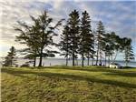 A row of trees by the water at CAMPING COLIBRI BY THE SEA - thumbnail