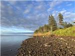 A rocky shoreline with trees at CAMPING COLIBRI BY THE SEA - thumbnail