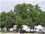 RV sites surrounded by trees at GRAND LAKE O' THE CHEROKEES RV RESORT BY RJOURNEY - thumbnail