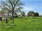 The fenced in pet area at CLARKSVILLE RV RESORT BY RJOURNEY - thumbnail