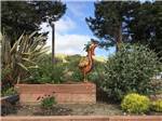Statue of a rooster in a garden at BETABEL RV PARK - thumbnail