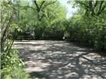 A paved site received shade from trees at GORDON HOWE CAMPGROUND - thumbnail