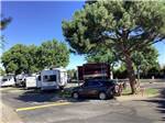 RVs pulled in at paved sites at MOUNTAIN VIEW RV PARK - thumbnail
