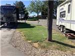 Trailers parked in paved sites at MOUNTAIN VIEW RV PARK - thumbnail