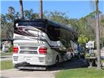 RV camping at ENCORE TROPICAL PALMS - thumbnail