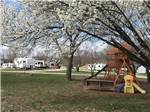 Playground with trees in bloom at DAD'S BLUEGRASS CAMPGROUND - thumbnail