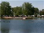 Ducks swimming on the lake at LEHMAN'S LAKESIDE RV RESORT - thumbnail