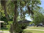 Outdoor view of landscaping and pavilion at HOLLYWOOD CASINO RV PARK- GULF COAST - thumbnail